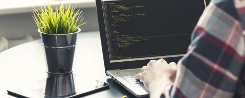 Programació web