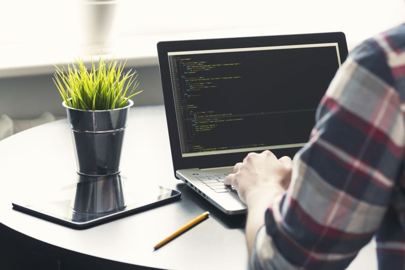 Programació web